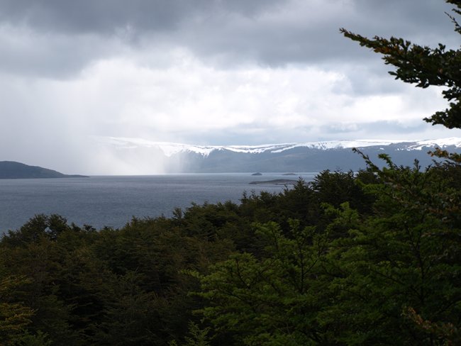 ../../Pictures/231209/100 am Beagelkanal.JPG